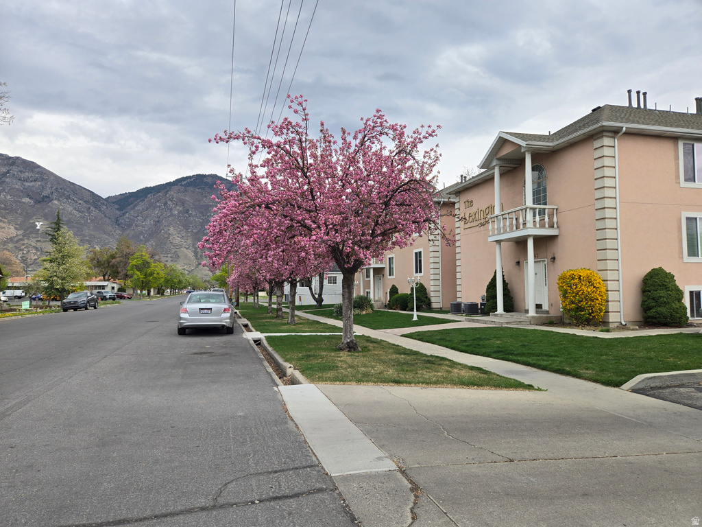 343 W 300 N #9 Provo, UT 84601
