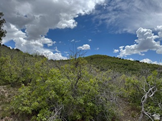 22480 N 13198 E Fairview, UT 84629