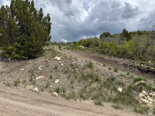 22480 N 13198 E Fairview, UT 84629