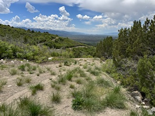 22480 N 13198 E Fairview, UT 84629