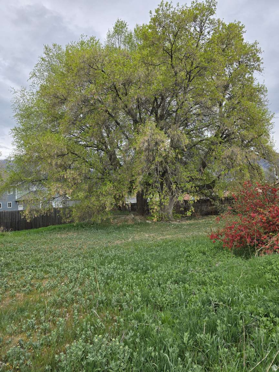 1058 N 1000 W Provo, UT 84604