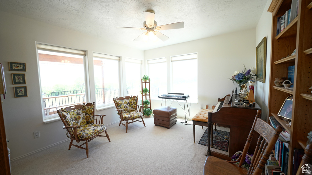 4551 S 600 E Torrey, UT 84775