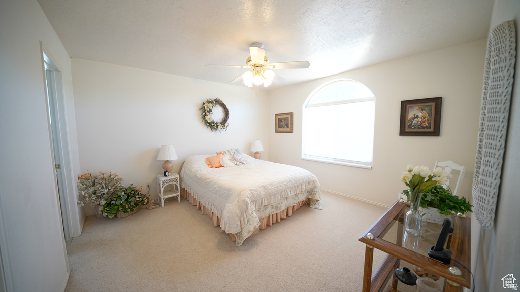 4551 S 600 E Torrey, UT 84775