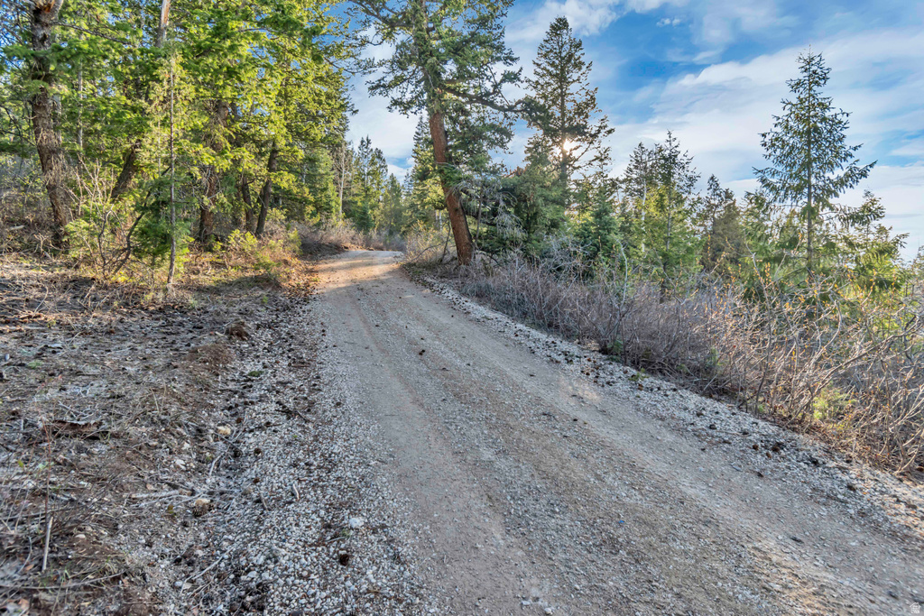 17029 S ALTA DR Spanish Fork, UT 84660