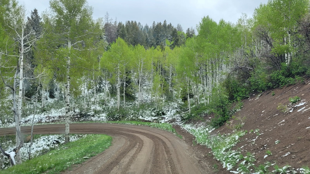 17029 S ALTA DR Spanish Fork, UT 84660