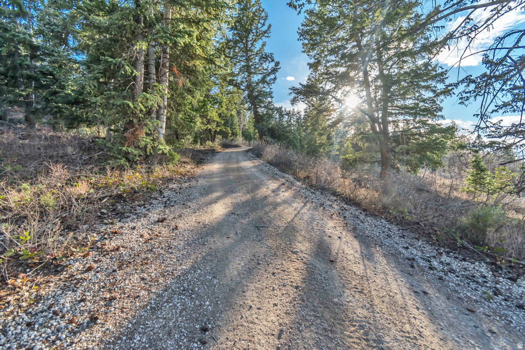 17029 S ALTA DR Spanish Fork, UT 84660