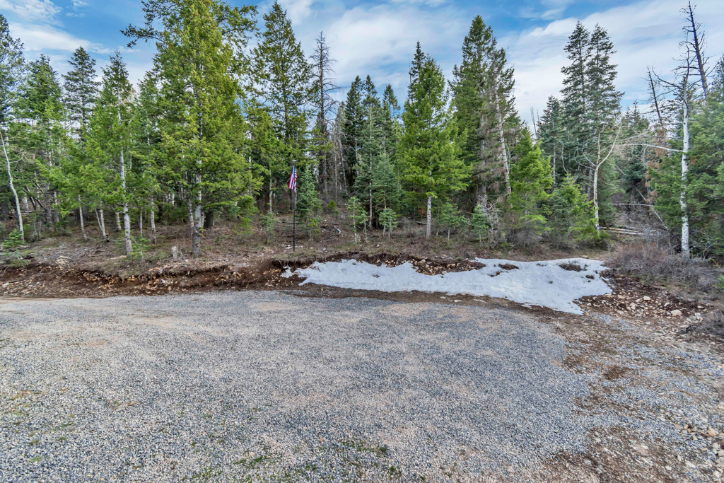 17029 S ALTA DR Spanish Fork, UT 84660