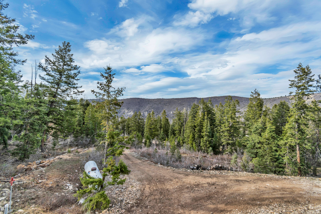 17029 S ALTA DR Spanish Fork, UT 84660