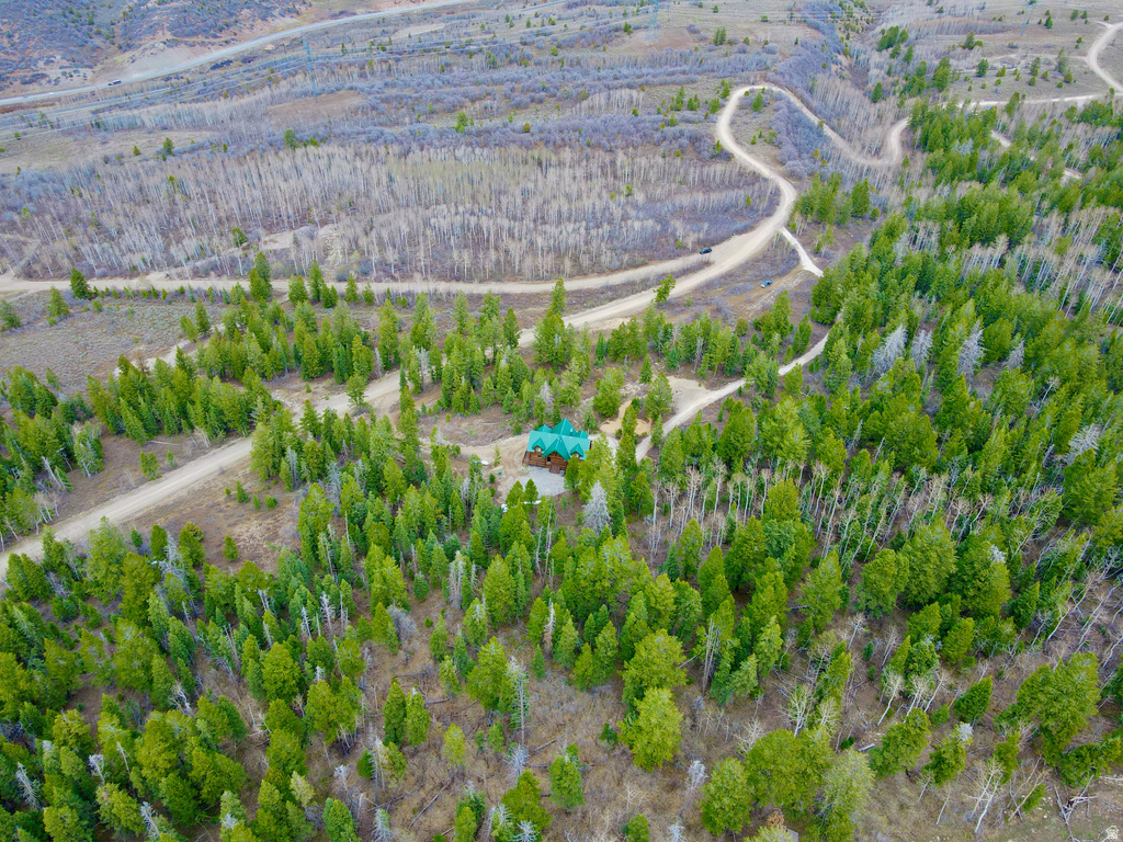 17029 S ALTA DR Spanish Fork, UT 84660