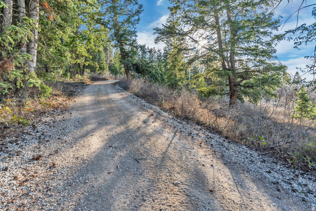 17029 S ALTA DR Spanish Fork, UT 84660