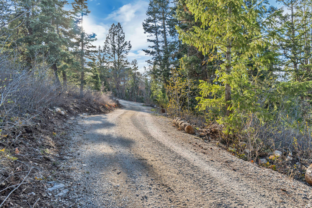 17029 S ALTA DR Spanish Fork, UT 84660