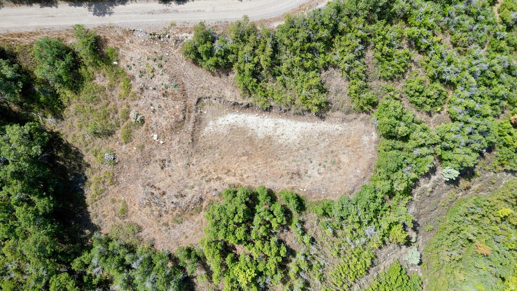 23203 N 14133 E Fairview, UT 84629