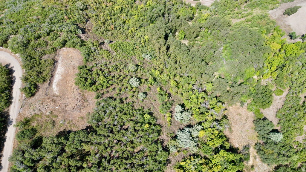 23203 N 14133 E Fairview, UT 84629