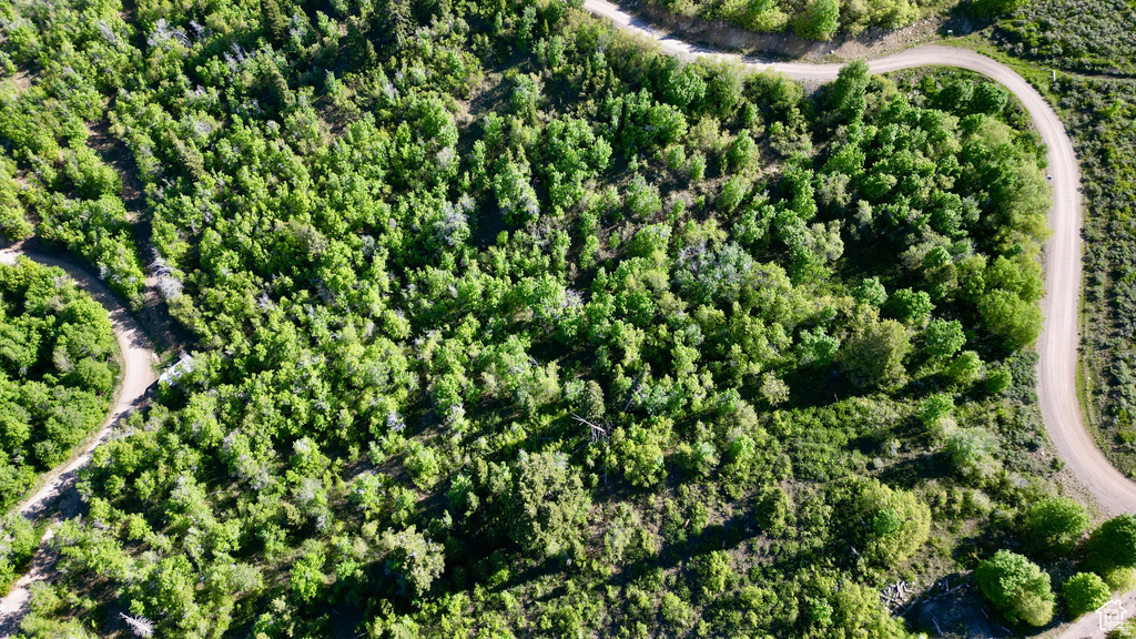 22045 N 14375 E Fairview, UT 84629