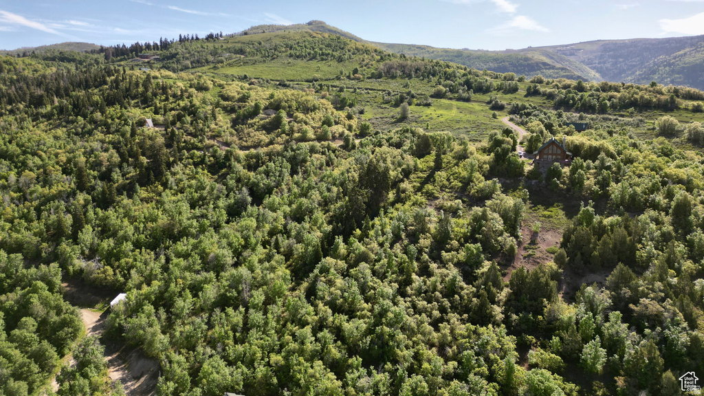 22045 N 14375 E Fairview, UT 84629