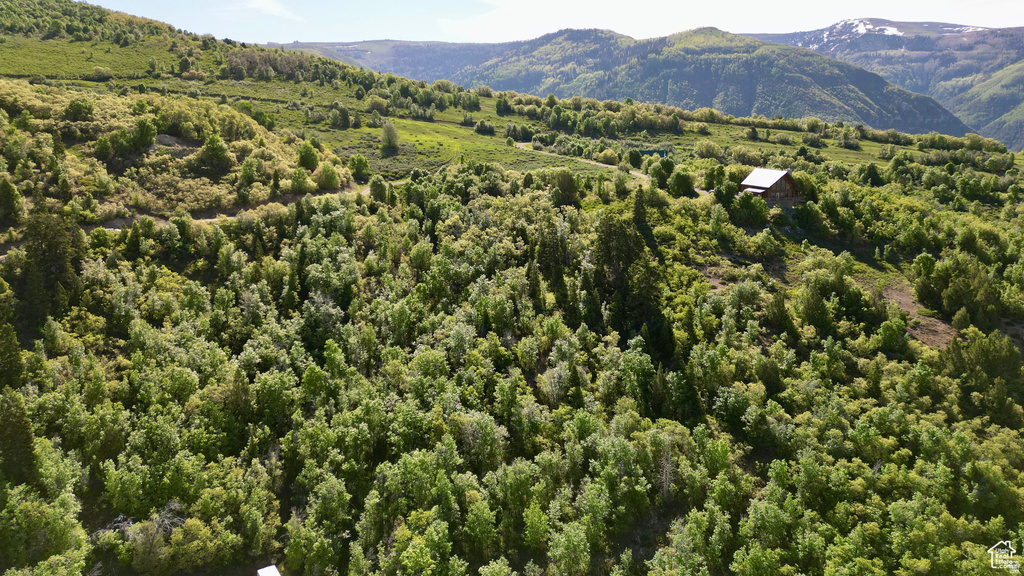 22045 N 14375 E Fairview, UT 84629