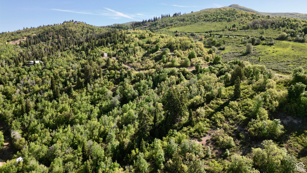 22045 N 14375 E Fairview, UT 84629