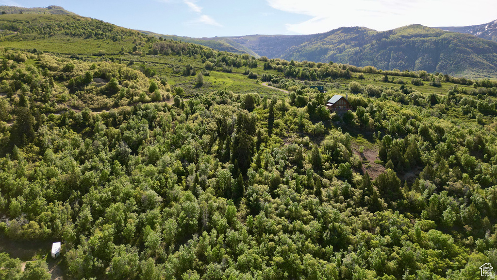 22045 N 14375 E Fairview, UT 84629