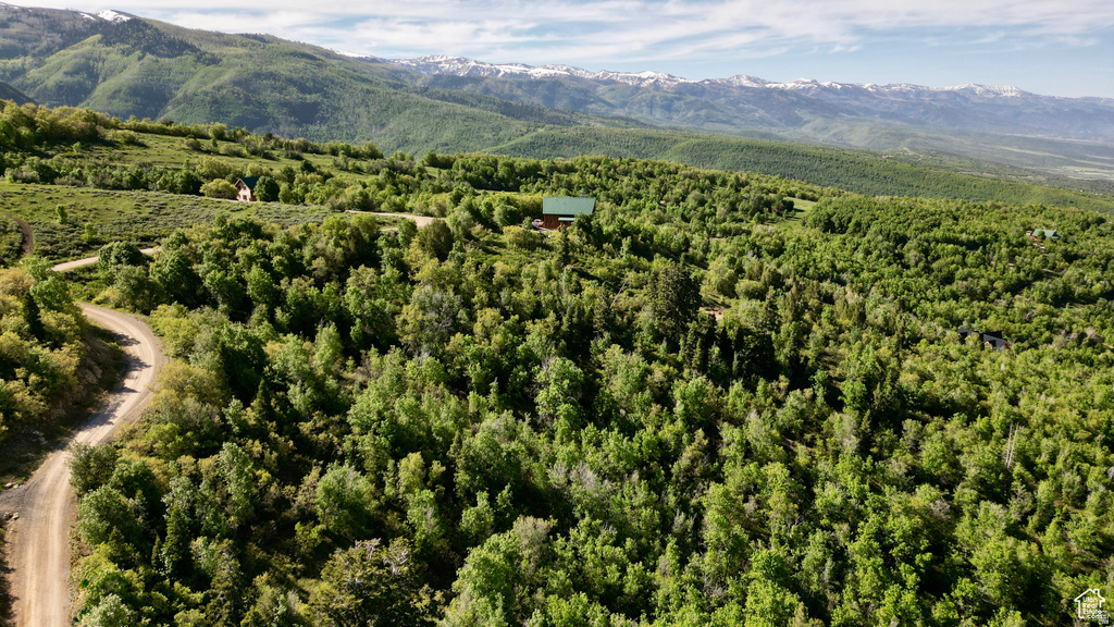 22045 N 14375 E Fairview, UT 84629