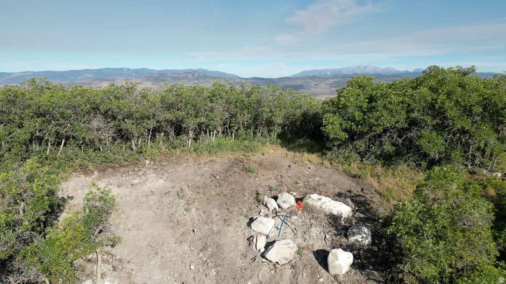 23207 N 13811 E Fairview, UT 84629