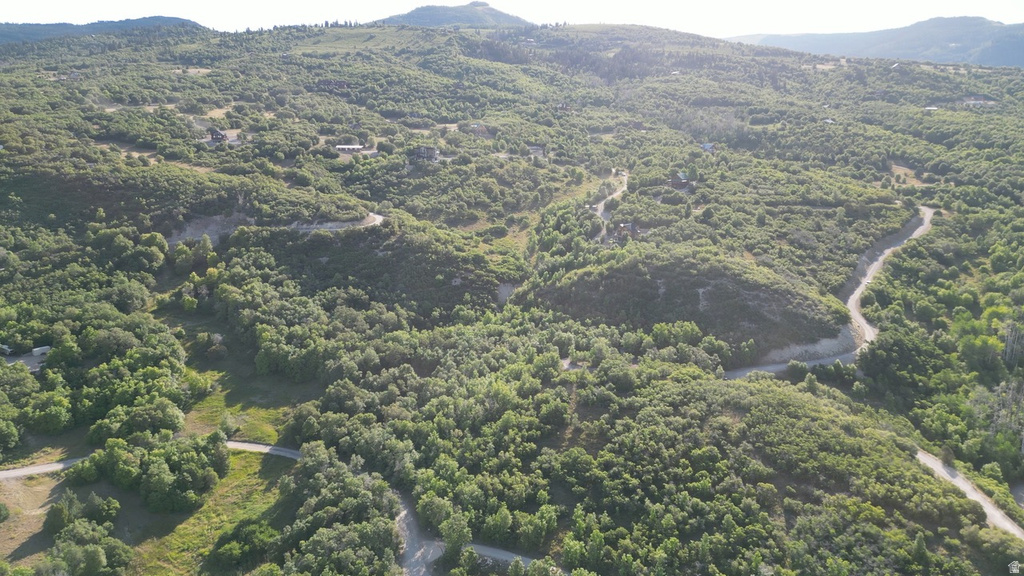 23207 N 13811 E Fairview, UT 84629