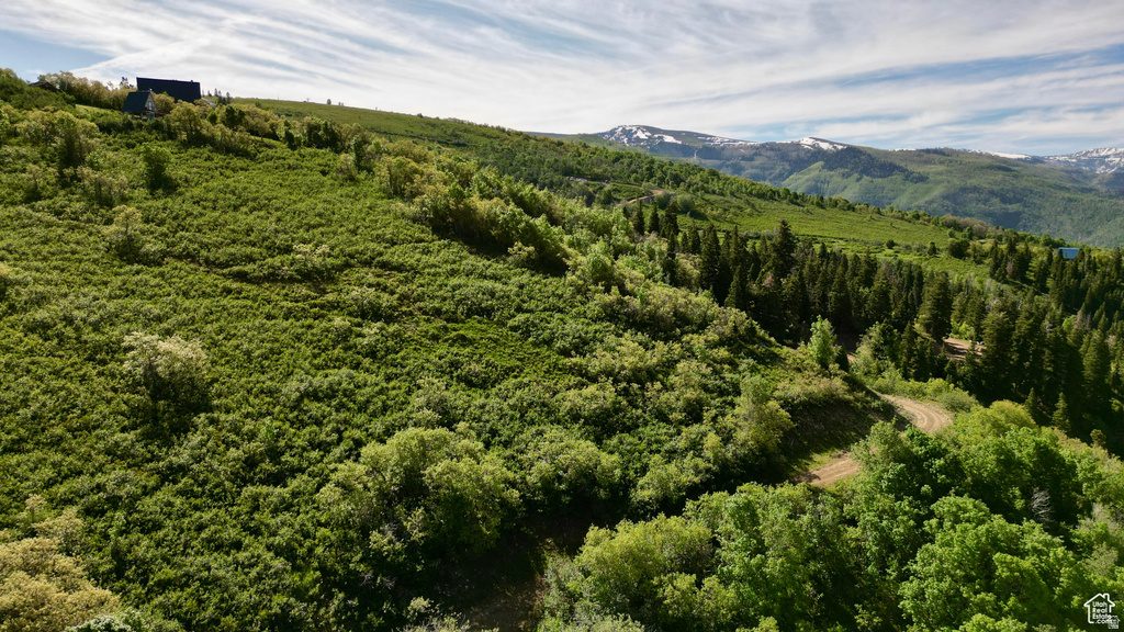 23206 N 14136 E Fairview, UT 84629