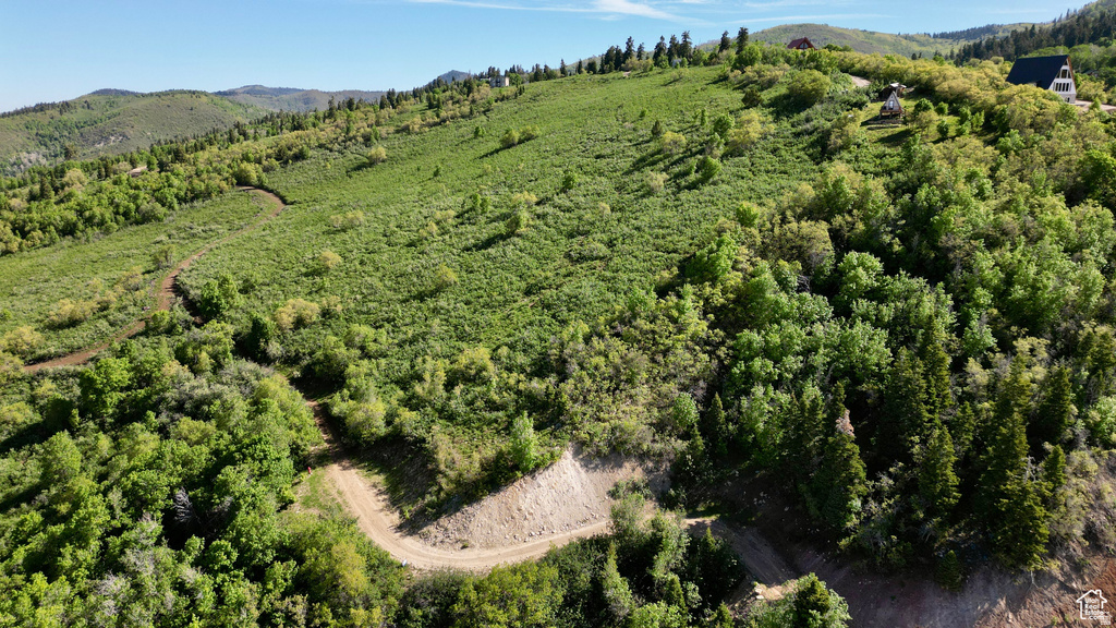 23206 N 14136 E Fairview, UT 84629