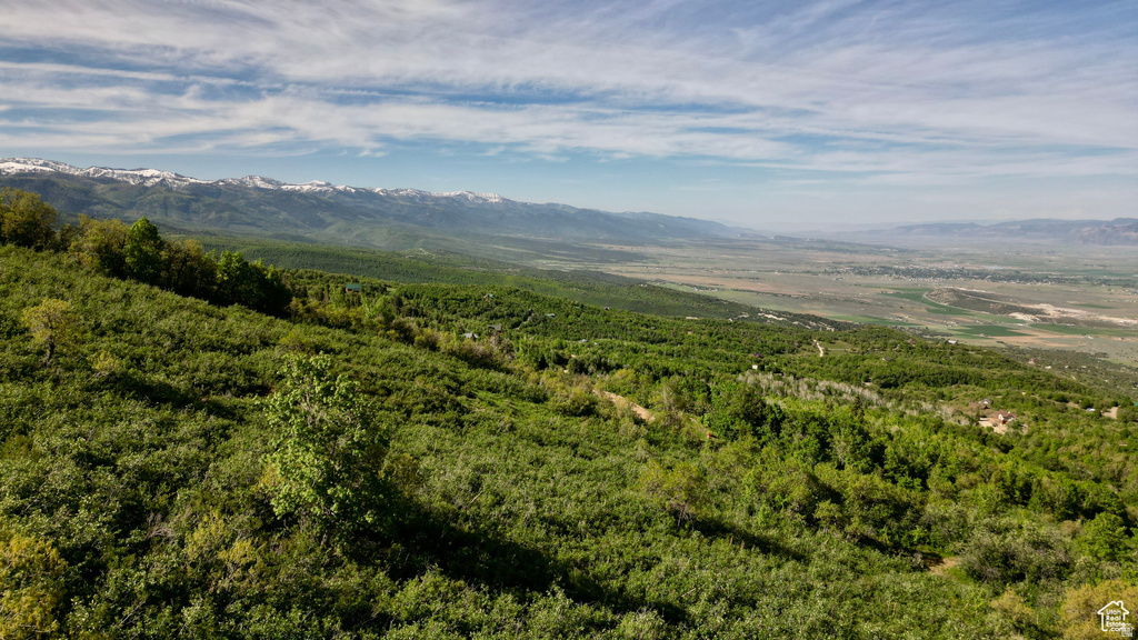 23206 N 14136 E Fairview, UT 84629