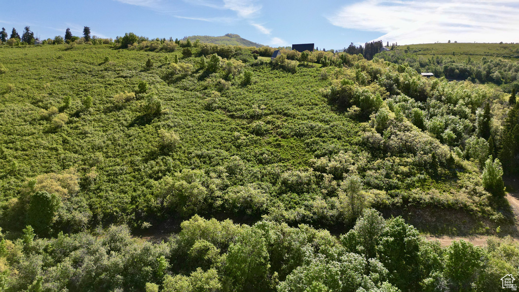 23206 N 14136 E Fairview, UT 84629