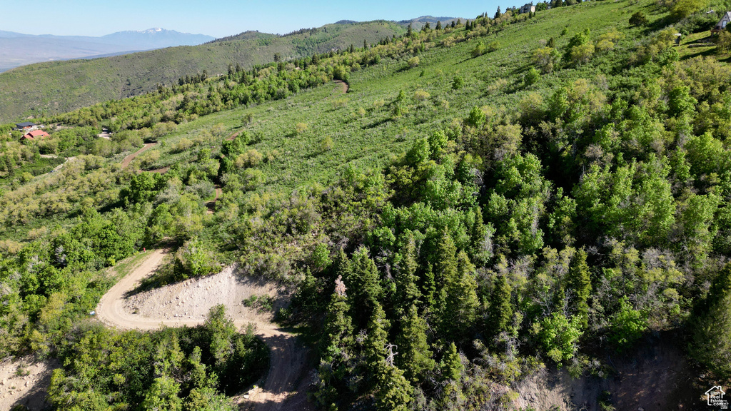 23206 N 14136 E Fairview, UT 84629