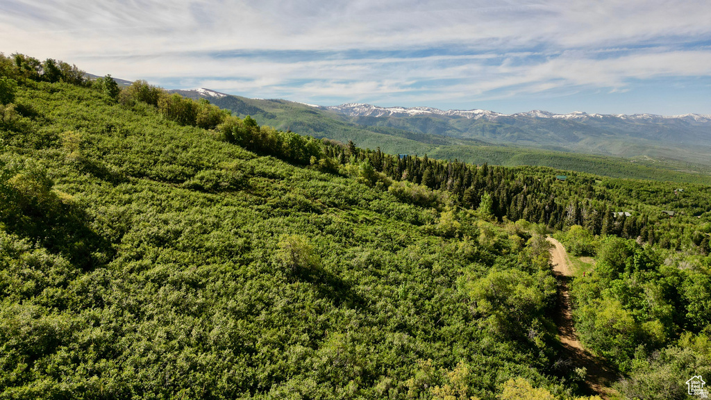 23206 N 14136 E Fairview, UT 84629