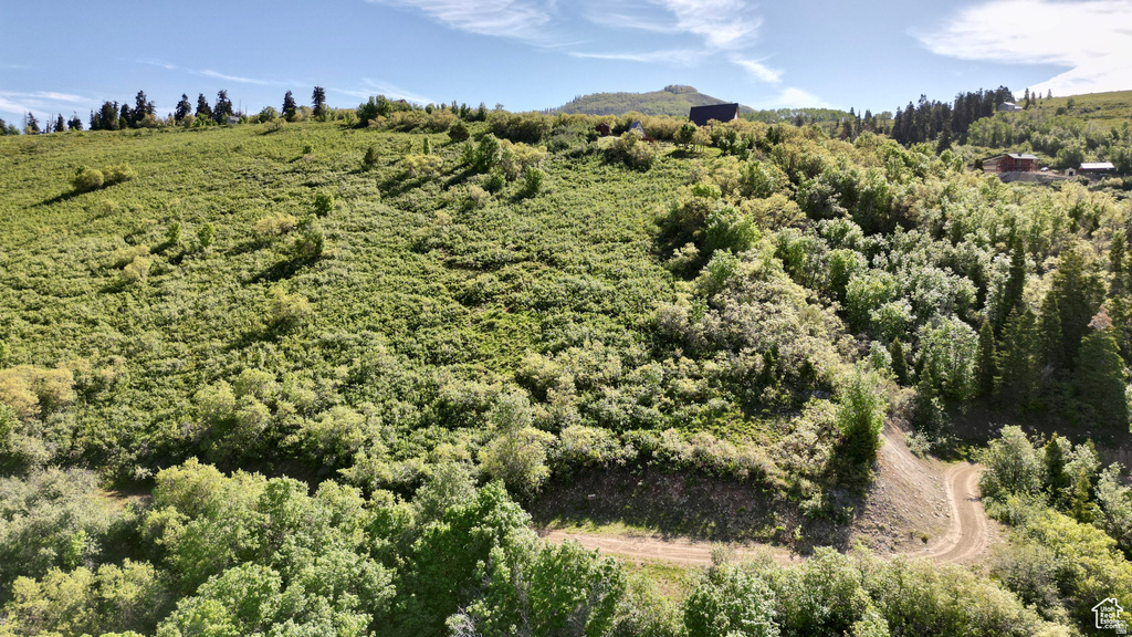 23206 N 14136 E Fairview, UT 84629