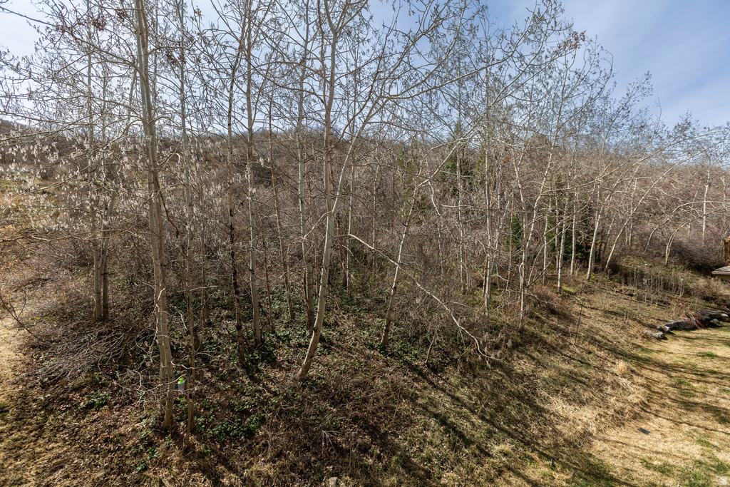 1967 PADDINGTON DR Park City, UT 84060