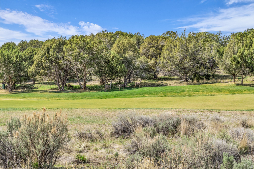 581 N RED MOUNTAIN CT Heber City, UT 84032