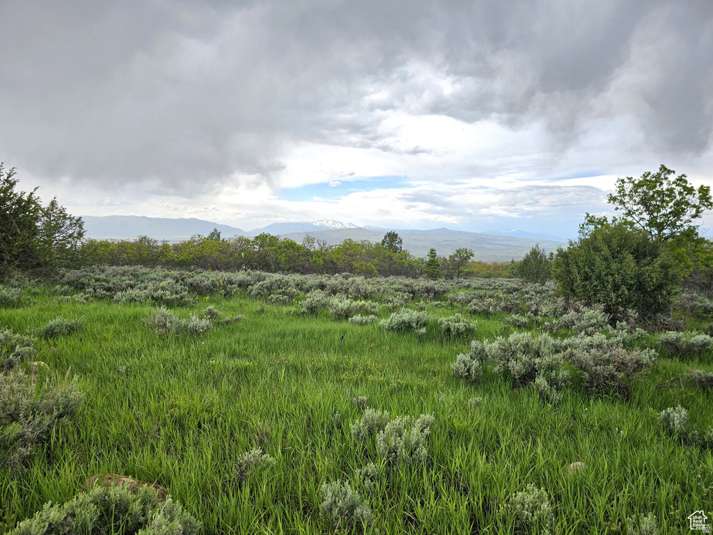 2  WHISPERING PINES RD Mt Pleasant, UT 84647