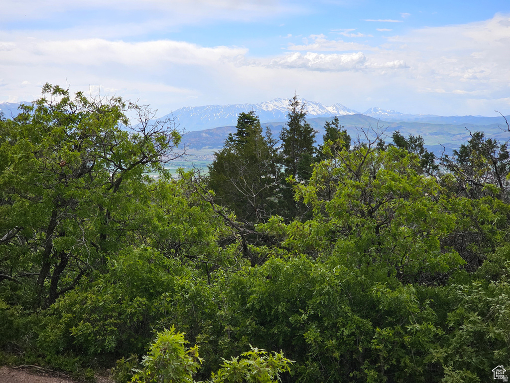 2  WHISPERING PINES RD Mt Pleasant, UT 84647