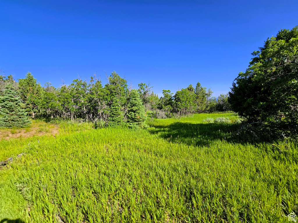 2  WHISPERING PINES RD Mt Pleasant, UT 84647