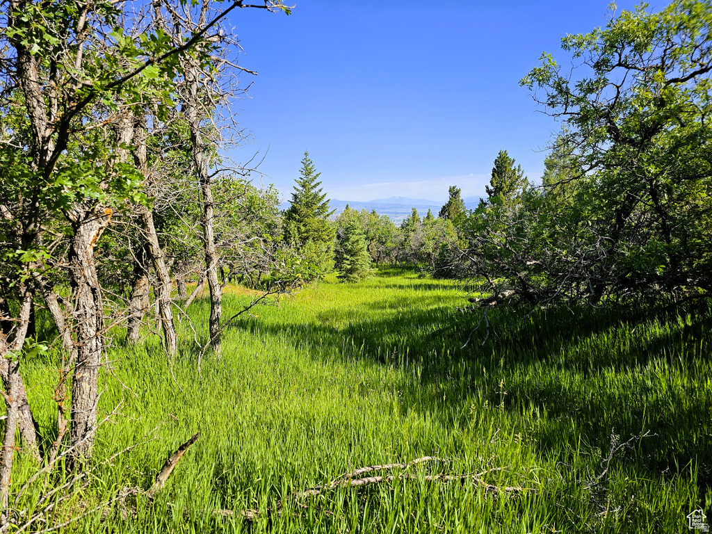 2  WHISPERING PINES RD Mt Pleasant, UT 84647