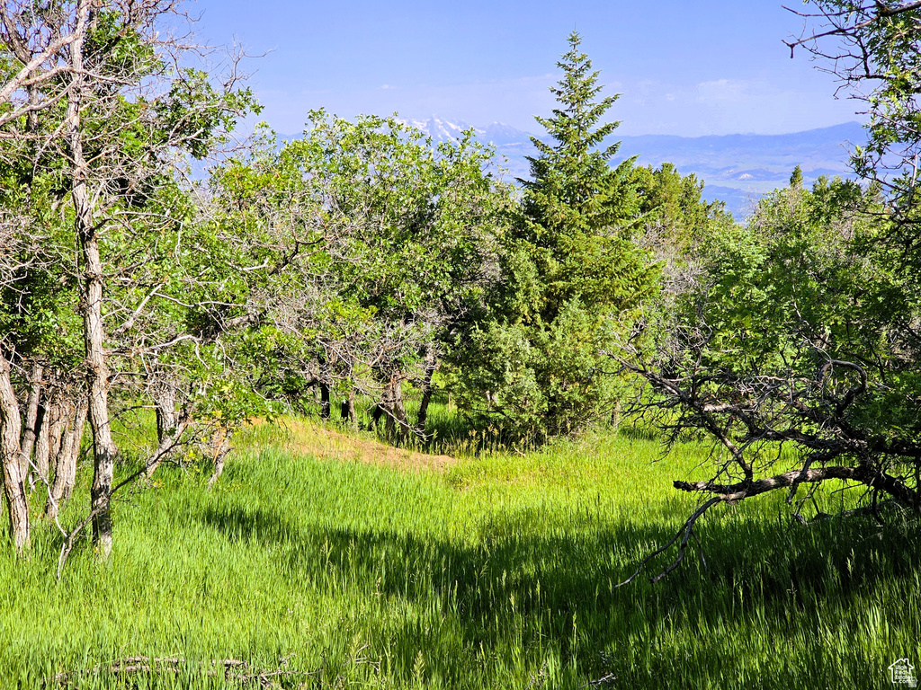 2  WHISPERING PINES RD Mt Pleasant, UT 84647