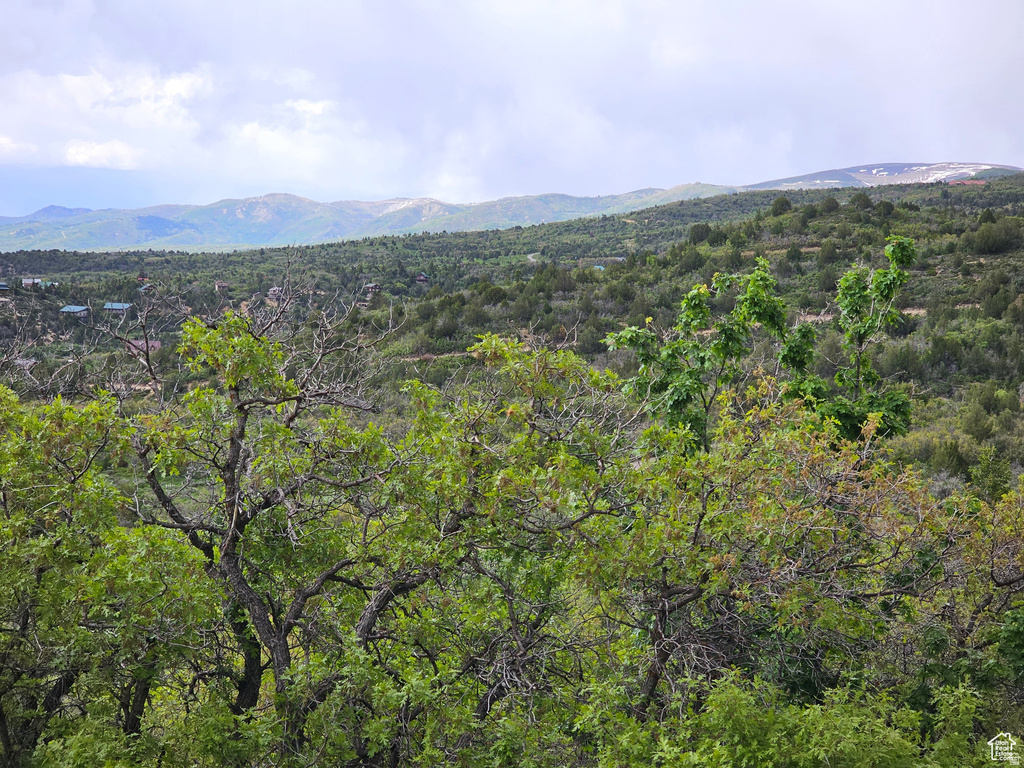 2  WHISPERING PINES RD Mt Pleasant, UT 84647