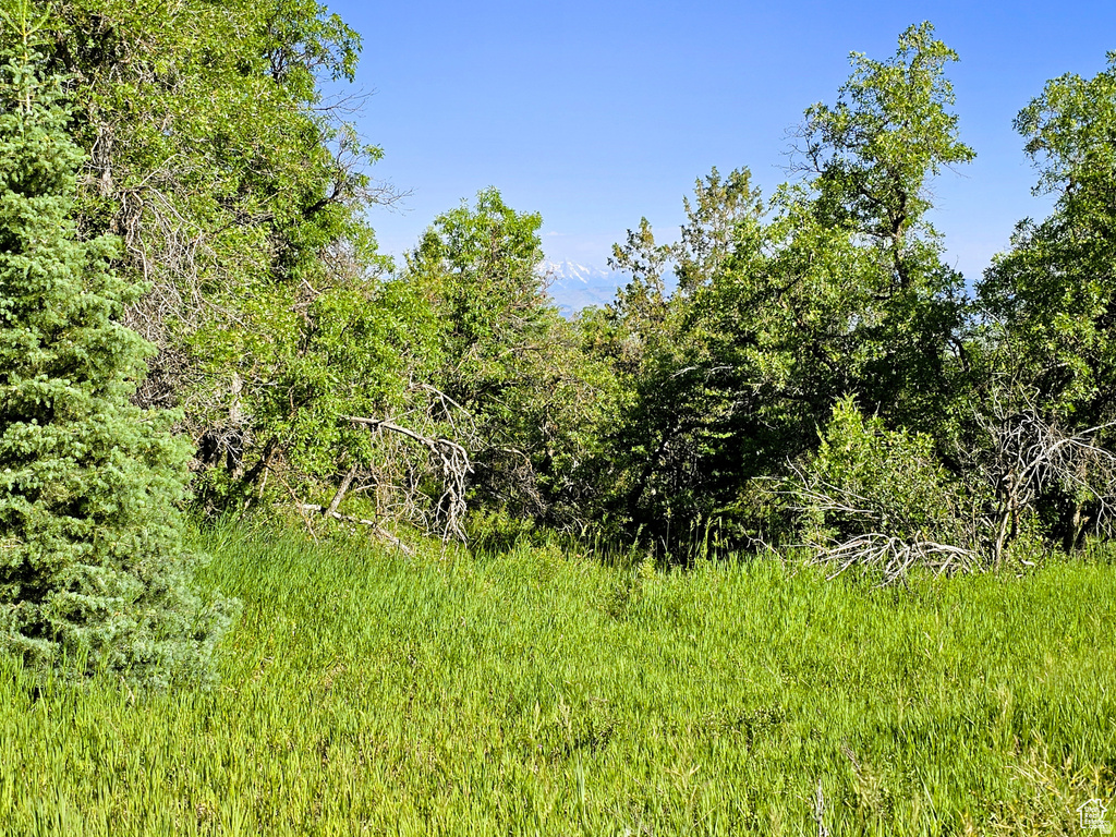 2  WHISPERING PINES RD Mt Pleasant, UT 84647