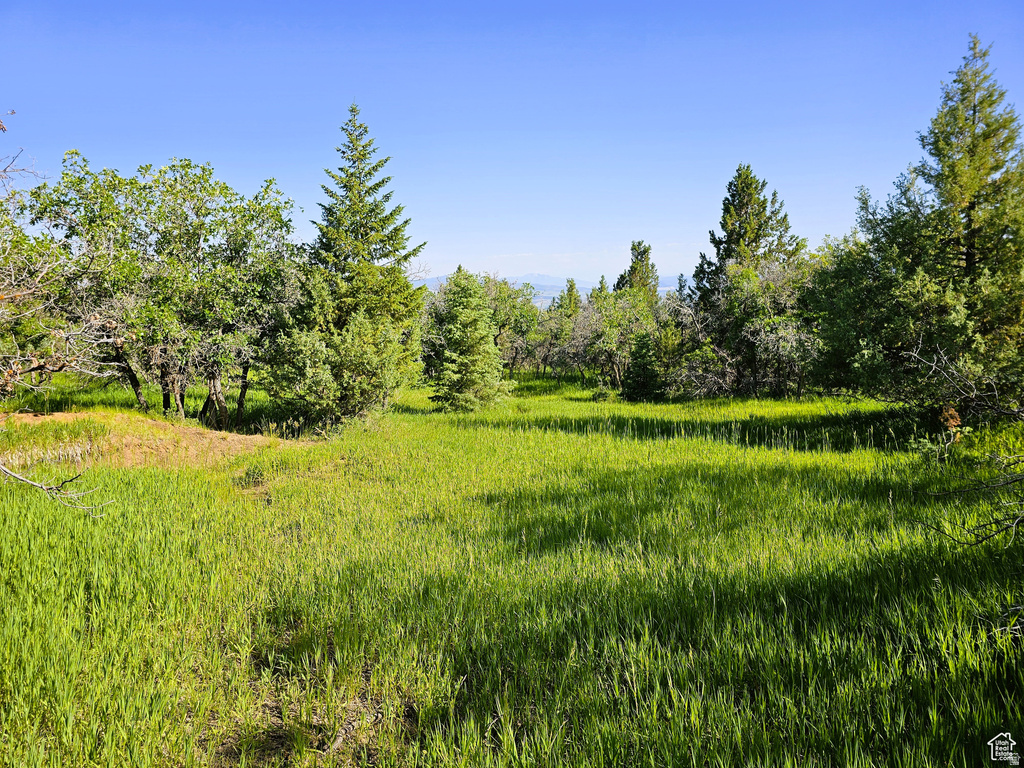 2  WHISPERING PINES RD Mt Pleasant, UT 84647