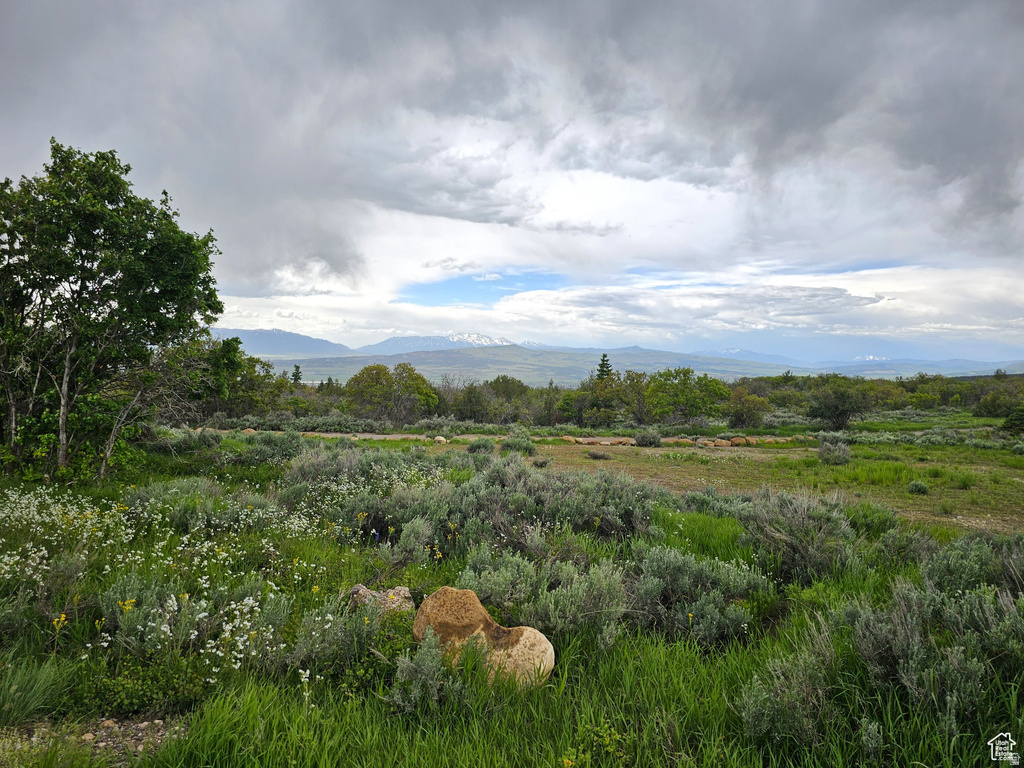 2  WHISPERING PINES RD Mt Pleasant, UT 84647