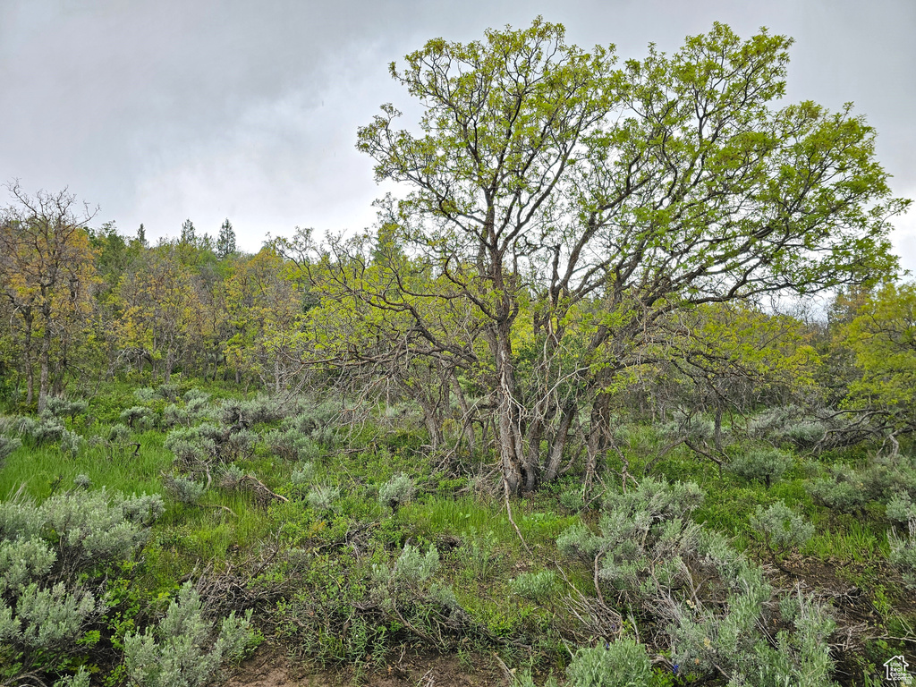 3  WHISPERING PINES RD Mt Pleasant, UT 84647