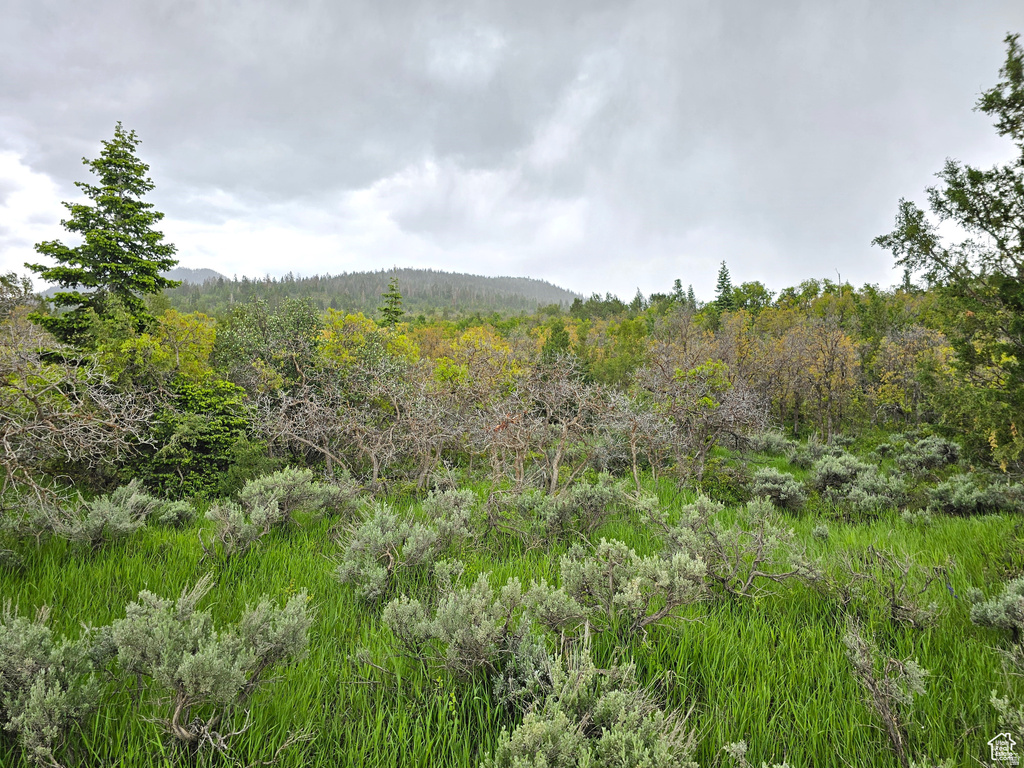 3  WHISPERING PINES RD Mt Pleasant, UT 84647