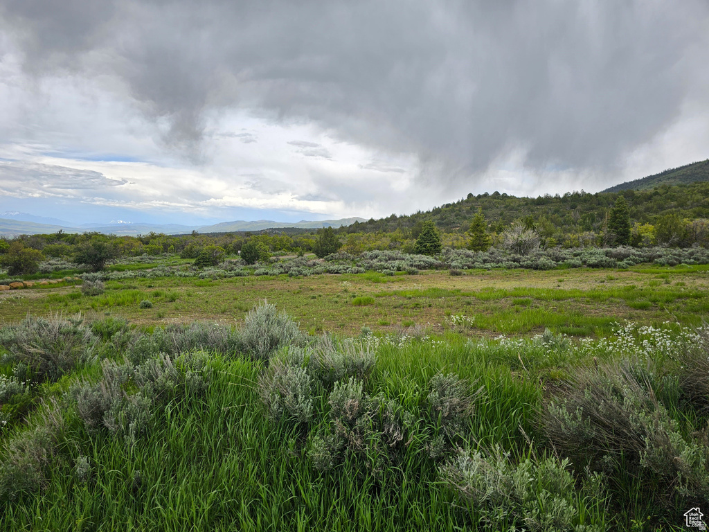 3  WHISPERING PINES RD Mt Pleasant, UT 84647