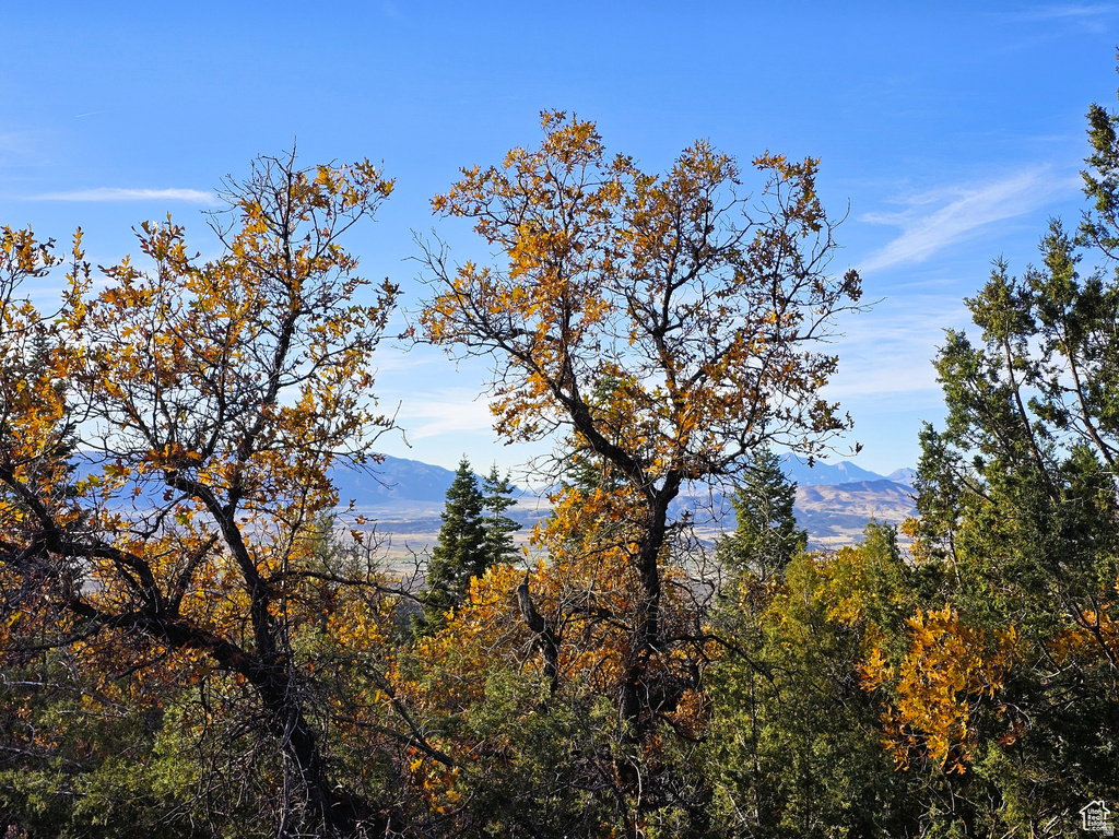 13  PINE CREST DR Mt Pleasant, UT 84647