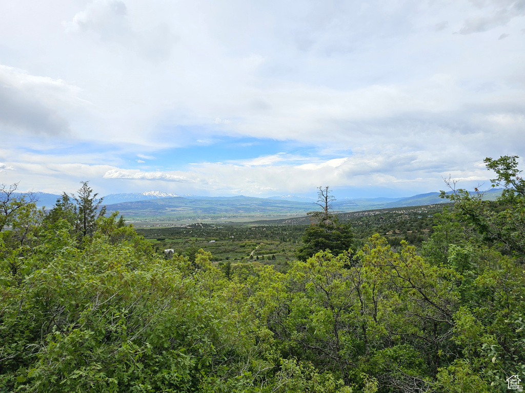 13  PINE CREST DR Mt Pleasant, UT 84647