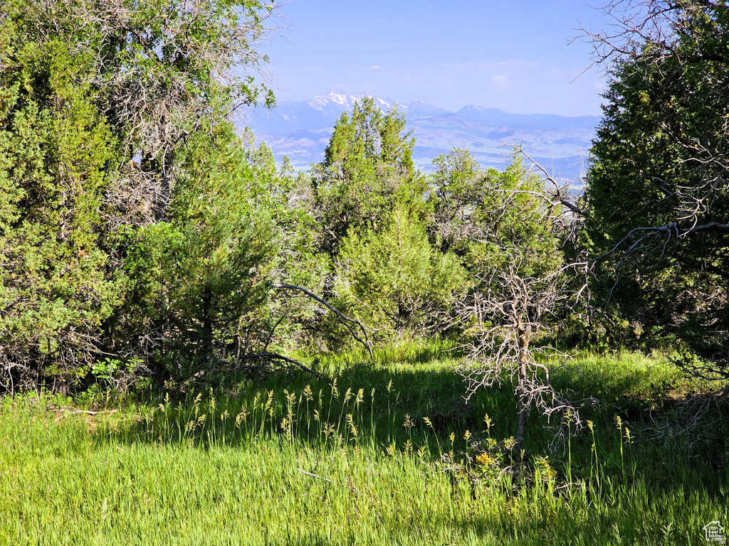 13  PINE CREST DR Mt Pleasant, UT 84647