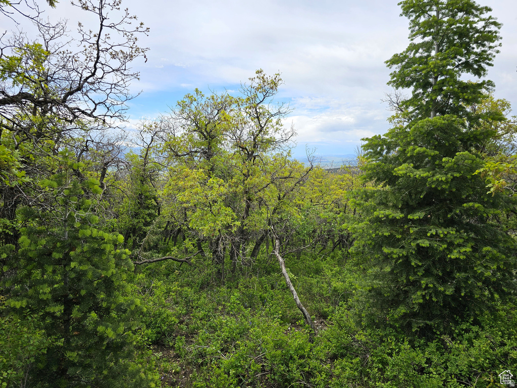 13  PINE CREST DR Mt Pleasant, UT 84647